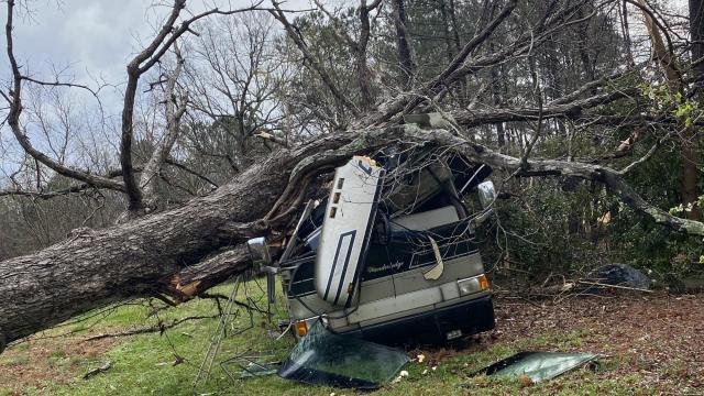 Downed tree on Graham Newton Road