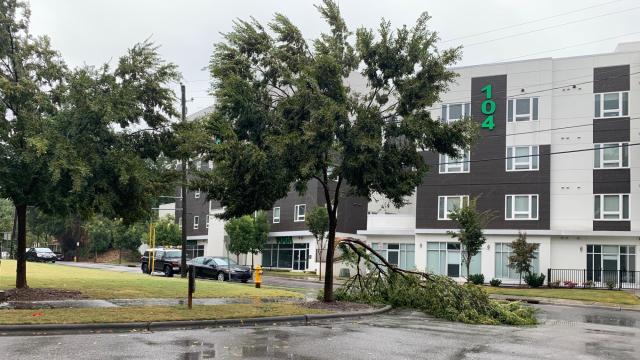 Severe weather on Friday, Sept. 30, 2022, caused part of a tree to fall along Ashe Avenue near Hillsborough Street in Raleigh.