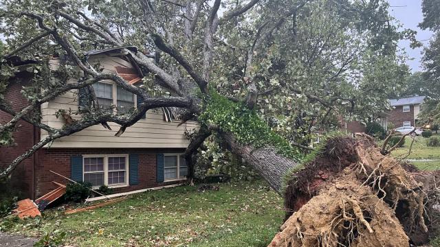 Tree falls on house in Midtown