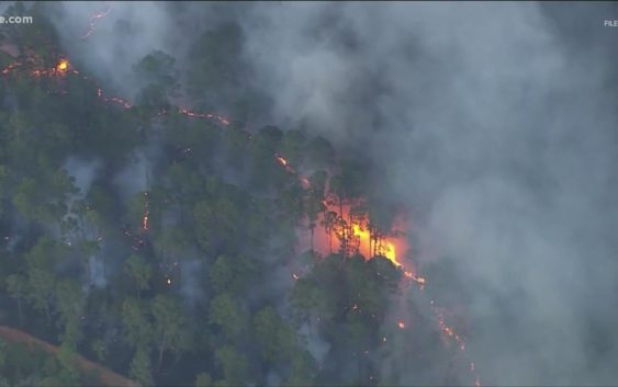 Jan. 18 Marks One Year Since The Start Of A Bastrop County Wildfire ...