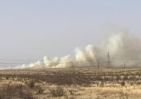 Wildfire grows to 5,000 acres in Texas Panhandle