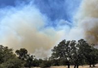 'Large' wildfire burning in Hays County