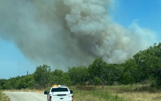 Texas Aandm Forest Service Issues Wildfire Danger Warning As Hot Dry Conditions Persist Weather