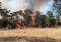 Homes evacuated as 400-acre wildfire burns in Hays County; 1 home destroyed