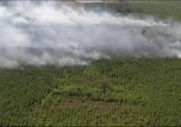 Liberty County wildfire continues to smolder as residents allowed to return to their homes