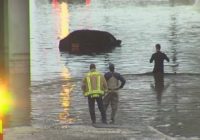 'Turn around don't drown' | First responders share how to avoid stalling your vehicle when it floods, what to do if it is submerged