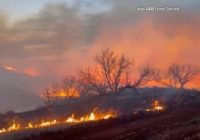 Texas firefighters battling massive Panhandle wildfires, including second largest in state’s history