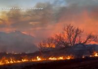 'We're able to represent our community': Boerne firefighters share their role in fighting historic Texas wildfires