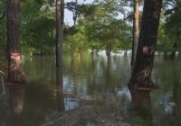 'This made me stronger. I’m not crying' | Kingwood-area residents spend day assessing flood-damaged homes