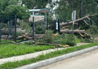 Houston storm damage updates: More than 600,000 still without power