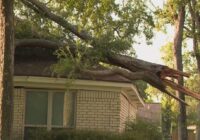 Fort Bend County moving out of emergency stage, into recovery stage after Hurricane Beryl, officials say