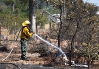 Austin and Travis County issue disaster declaration as dry conditions increase wildfire risks