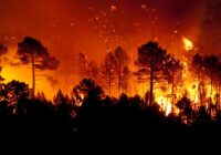 NC Forest Service warns of increased wildfire risk in western part of state after Helene