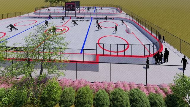 Carolina Hurricanes street hockey rinks