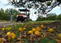 Major Florida grower to end citrus operations after years of hurricanes and tree disease