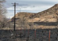 ‘This is a years-long recovery’: The Panhandle rebuilds after devastating wildfires