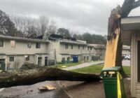 Trees uprooted in Raleigh neighborhoods after tornado warning