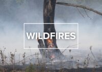 New wildfire in Gillespie County prompts evacuations